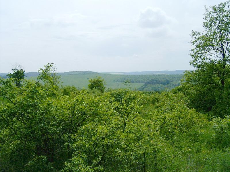 2010.05.08 (100).jpg